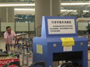 貫通愛心通道，虹橋機(jī)場迎接進(jìn)博會 精品服務(wù)再升級